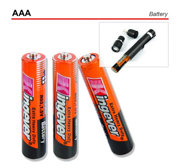 AAA Battery